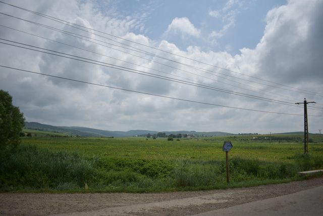 Luncă cu vegetație, linii electrice aeriene și dealuri în fundal